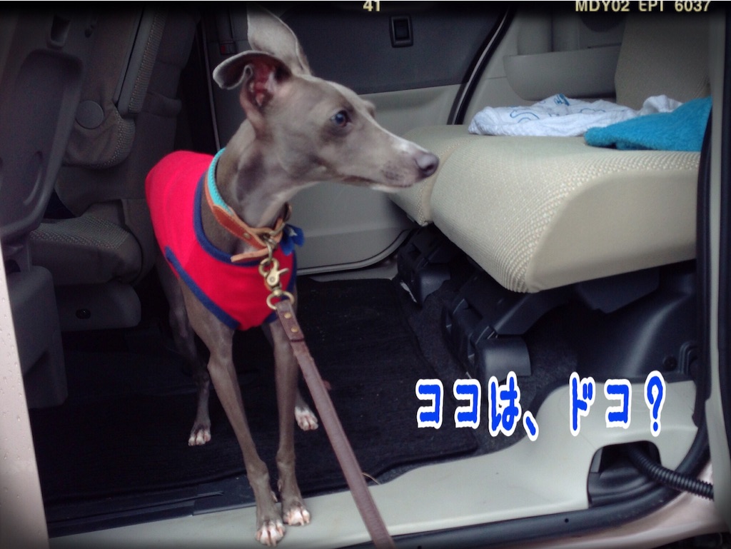 f:id:gino-ig:20150925193023j:image f:id:gino-ig:20150925193023j:image