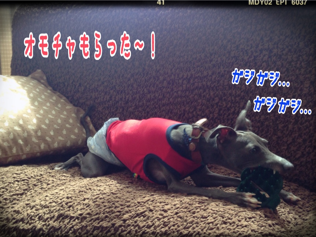 f:id:gino-ig:20150925193225j:image f:id:gino-ig:20150925193225j:image