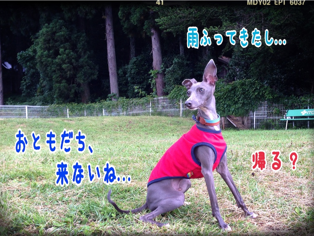 f:id:gino-ig:20150925194527j:image f:id:gino-ig:20150925194527j:image