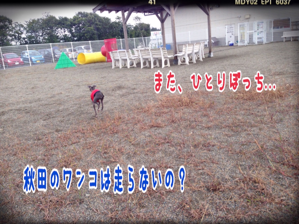 f:id:gino-ig:20150925200212j:image f:id:gino-ig:20150925200212j:image
