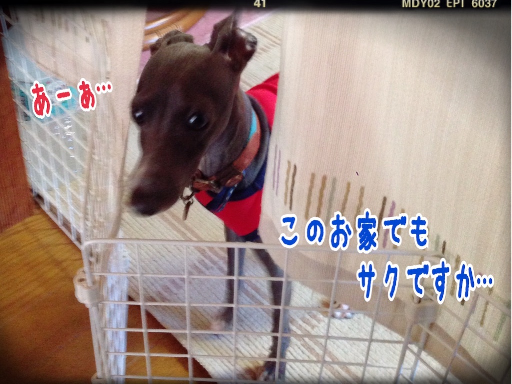 f:id:gino-ig:20150925200505j:image f:id:gino-ig:20150925200505j:image