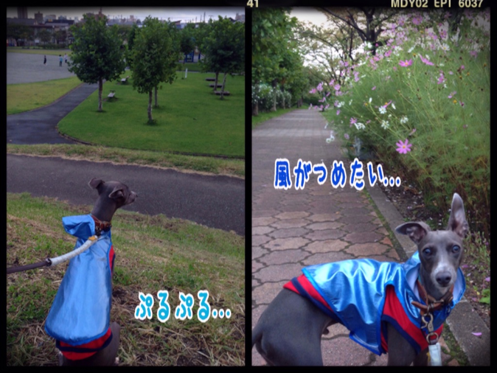 f:id:gino-ig:20150925201425j:image f:id:gino-ig:20150925201425j:image