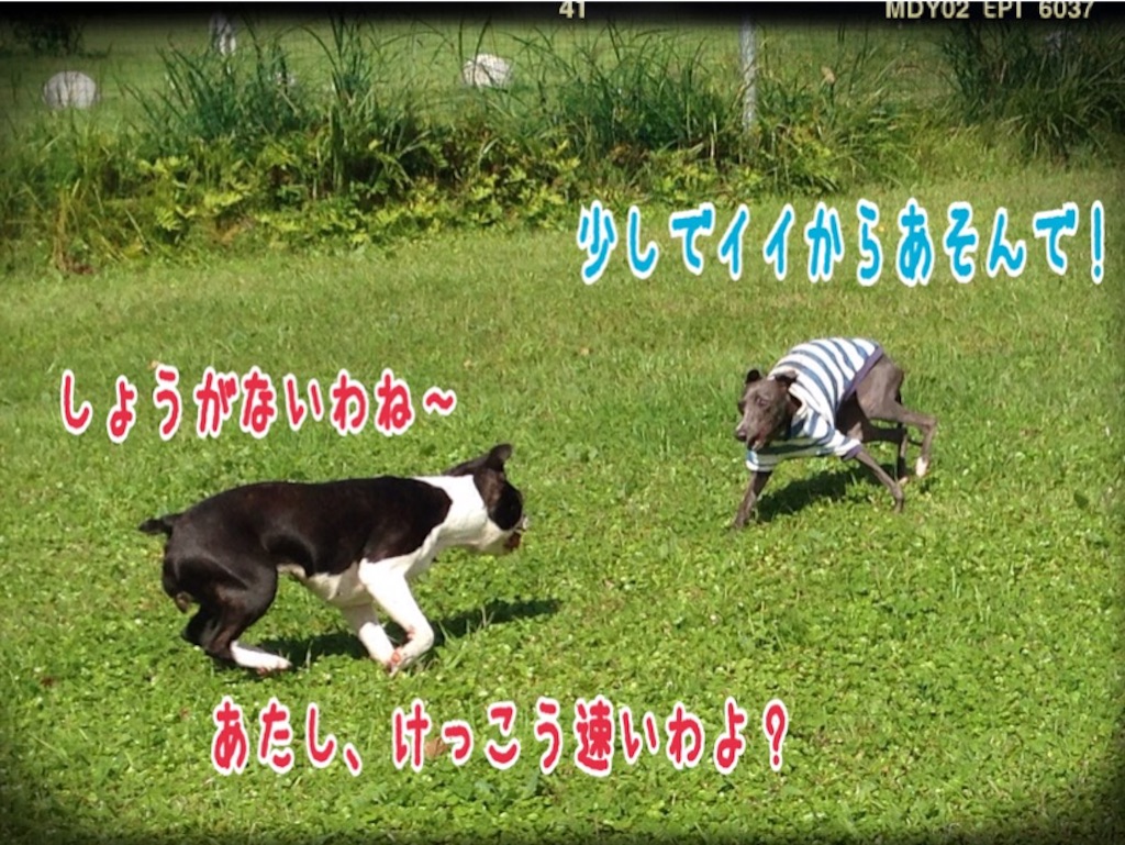 f:id:gino-ig:20150927185244j:image f:id:gino-ig:20150927185244j:image