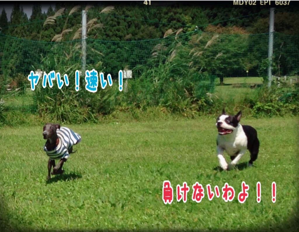 f:id:gino-ig:20150927185417j:image f:id:gino-ig:20150927185417j:image