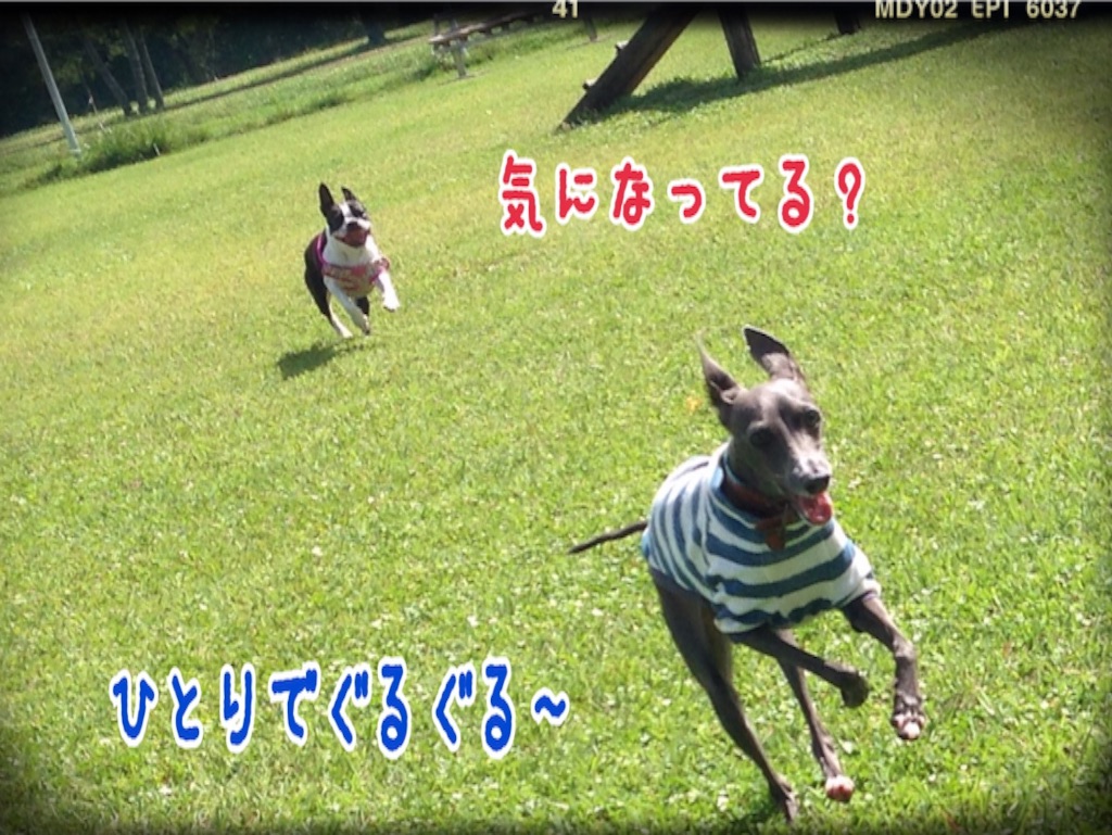 f:id:gino-ig:20150928224127j:image f:id:gino-ig:20150928224127j:image