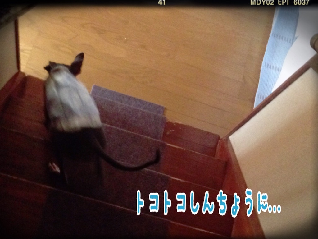 f:id:gino-ig:20150929185331j:image f:id:gino-ig:20150929185331j:image