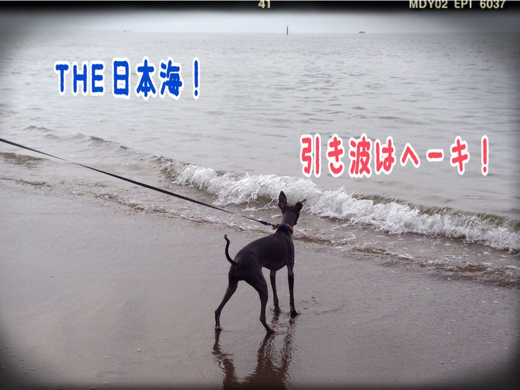 f:id:gino-ig:20150929185912j:image f:id:gino-ig:20150929185912j:image