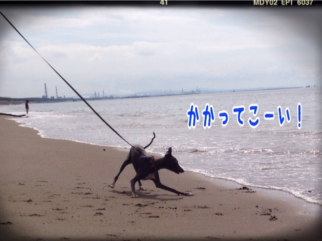 f:id:gino-ig:20150929190049j:image f:id:gino-ig:20150929190049j:image