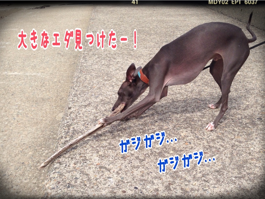 f:id:gino-ig:20150929190527j:image f:id:gino-ig:20150929190527j:image