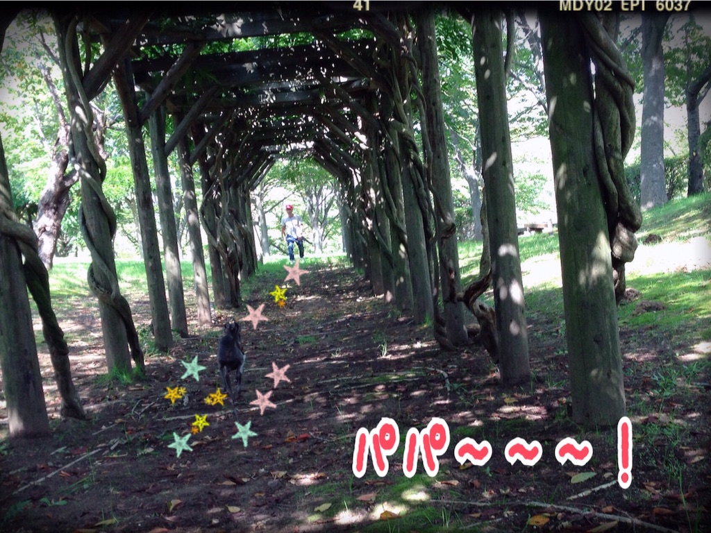 f:id:gino-ig:20150930151645j:image f:id:gino-ig:20150930151645j:image