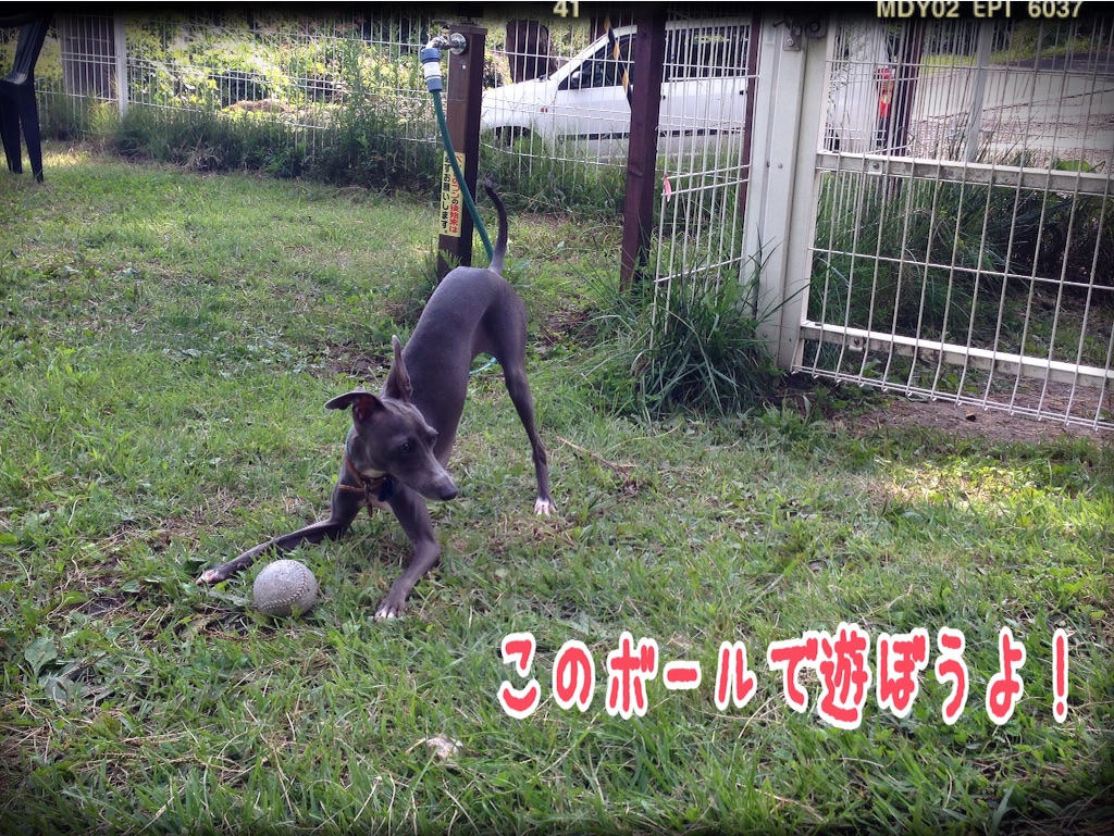 f:id:gino-ig:20150930151739j:image f:id:gino-ig:20150930151739j:image