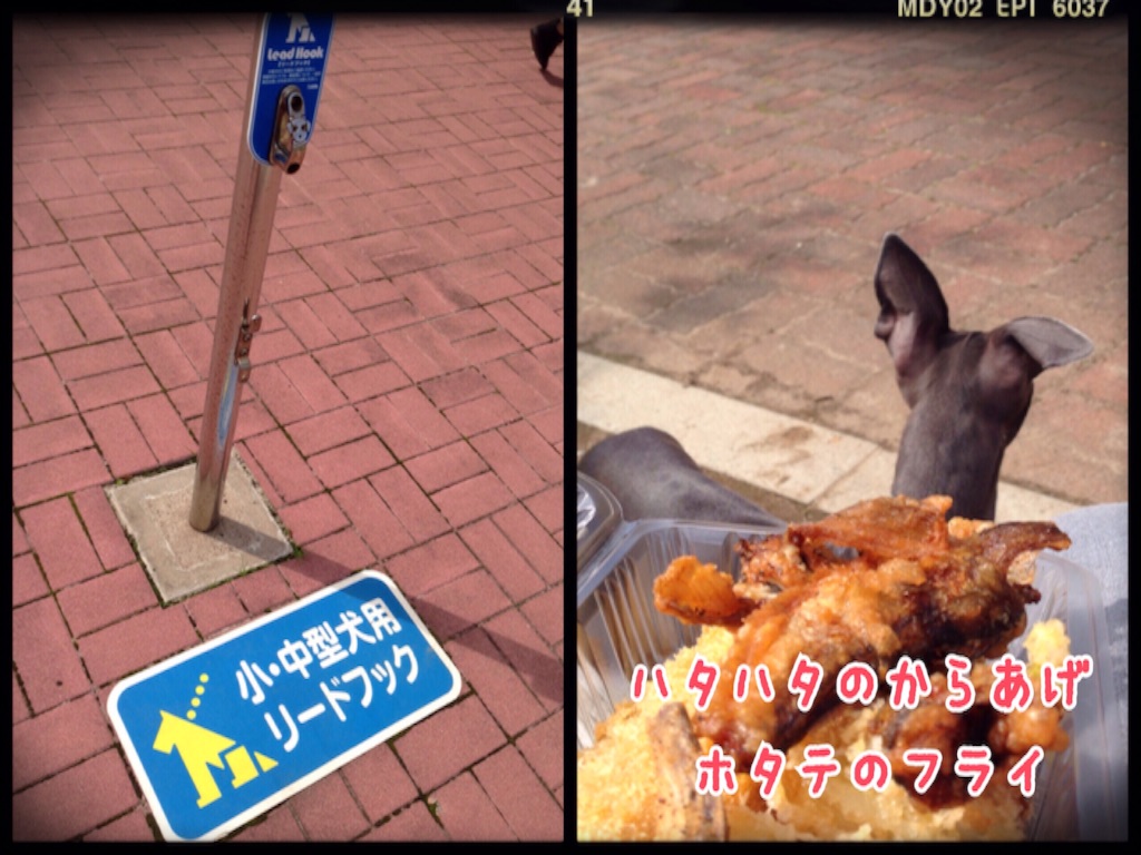 f:id:gino-ig:20150930170353j:image f:id:gino-ig:20150930170353j:image