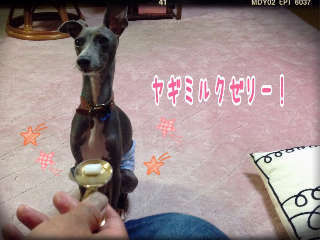 f:id:gino-ig:20150930171231j:image f:id:gino-ig:20150930171231j:image