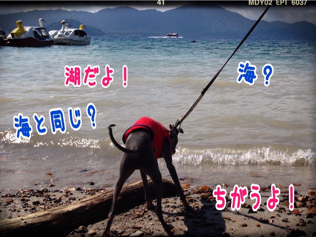 f:id:gino-ig:20151002204512j:image f:id:gino-ig:20151002204512j:image
