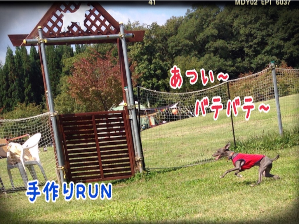 f:id:gino-ig:20151002204814j:image f:id:gino-ig:20151002204814j:image