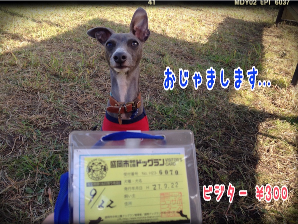f:id:gino-ig:20151003141404j:image f:id:gino-ig:20151003141404j:image
