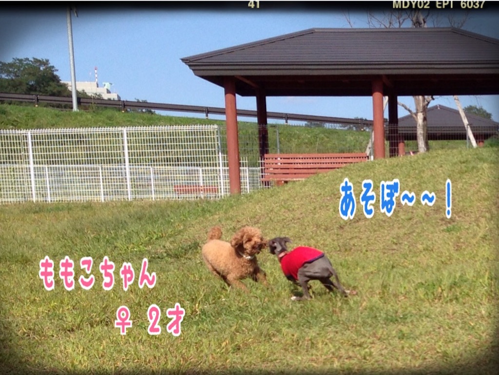 f:id:gino-ig:20151003142050j:image f:id:gino-ig:20151003142050j:image