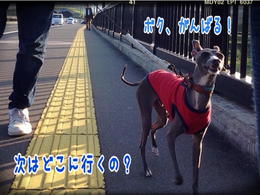 f:id:gino-ig:20151003142828j:image f:id:gino-ig:20151003142828j:image