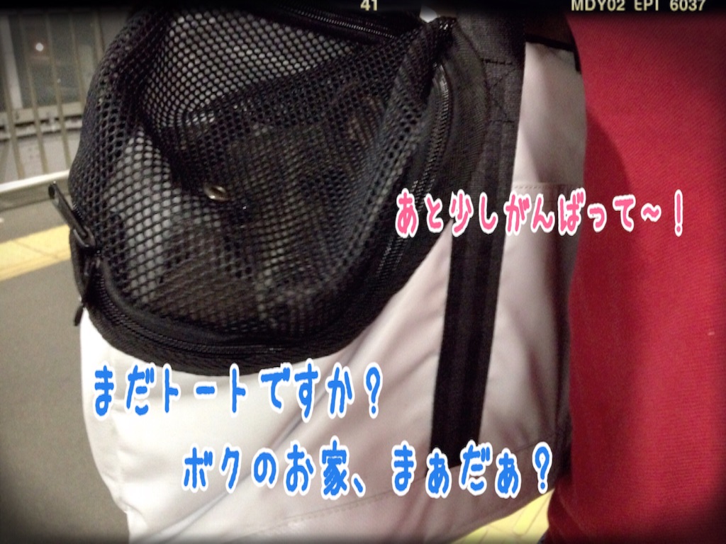 f:id:gino-ig:20151003143049j:image f:id:gino-ig:20151003143049j:image