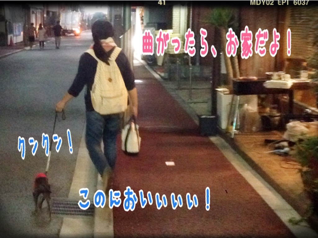 f:id:gino-ig:20151003143401j:image f:id:gino-ig:20151003143401j:image
