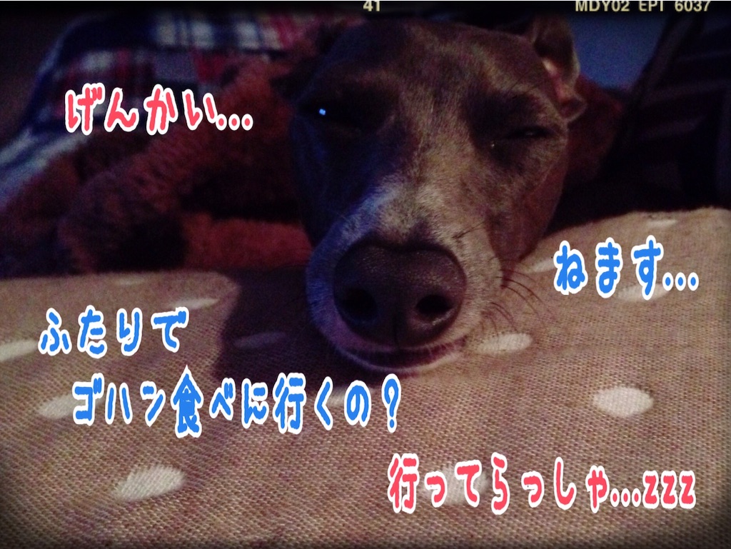 f:id:gino-ig:20151003143535j:image f:id:gino-ig:20151003143535j:image