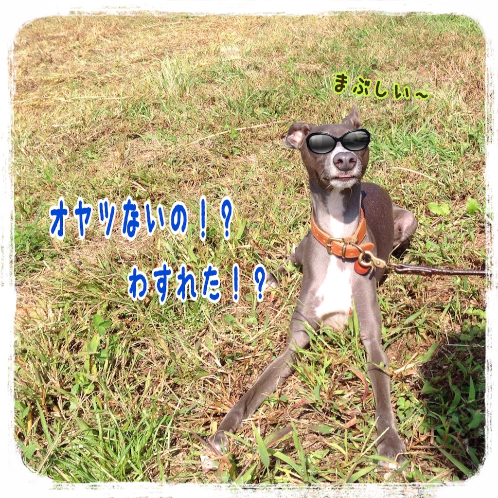 f:id:gino-ig:20151019210438j:image f:id:gino-ig:20151019210438j:image