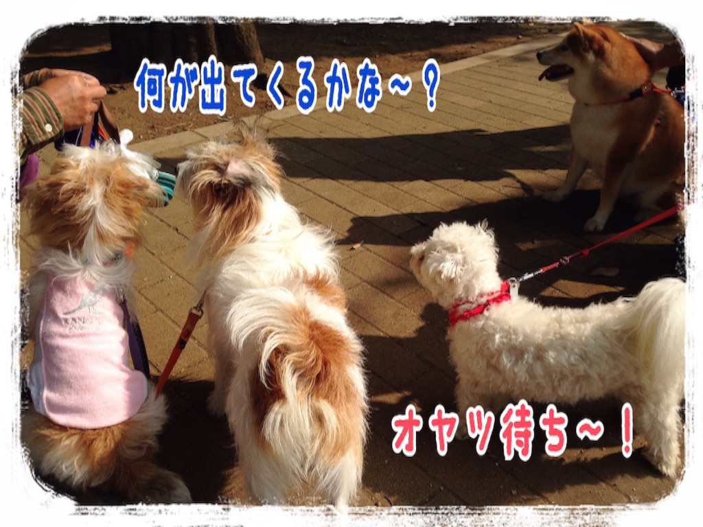 f:id:gino-ig:20151022133147j:image f:id:gino-ig:20151022133147j:image