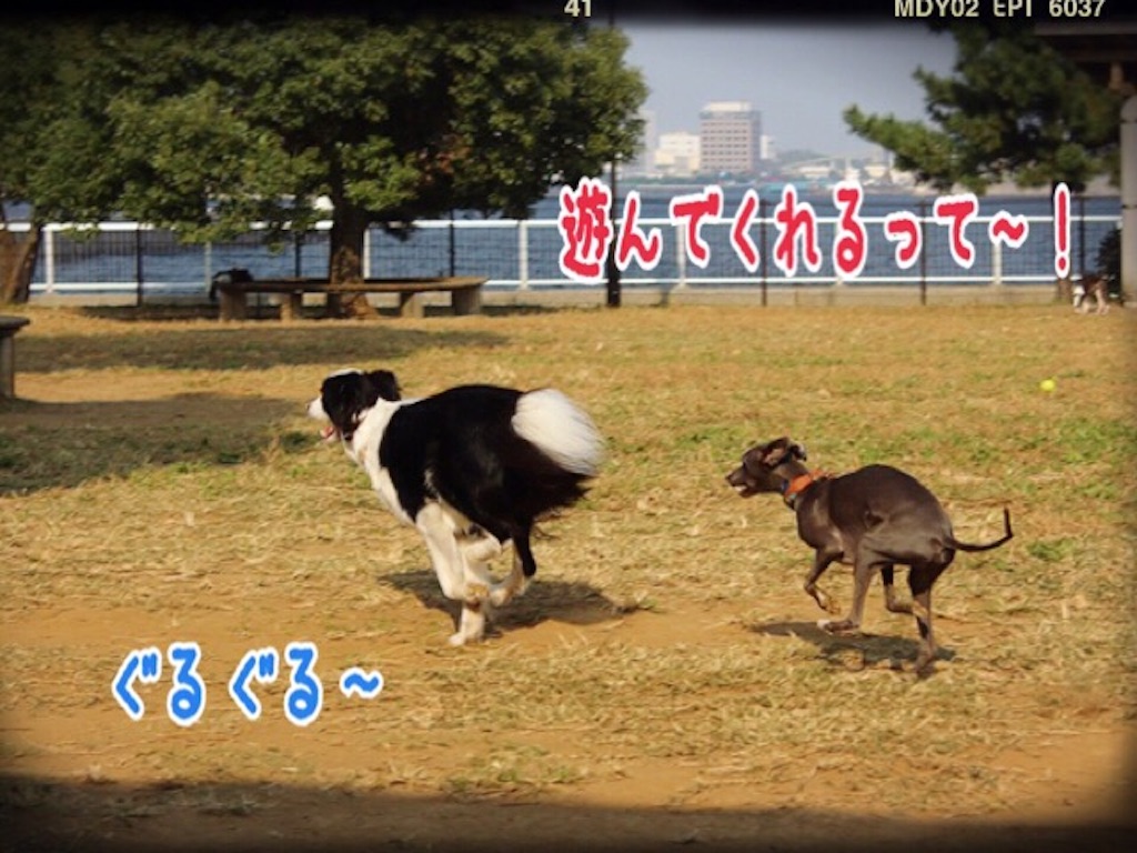 f:id:gino-ig:20151024222232j:image f:id:gino-ig:20151024222232j:image