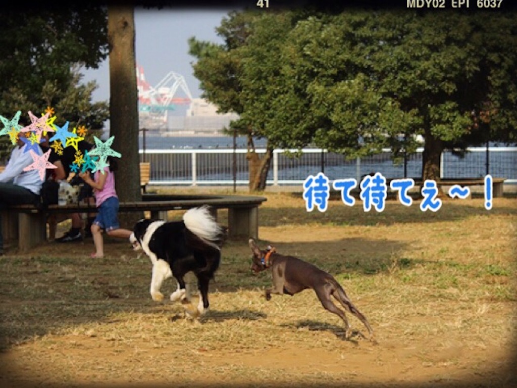 f:id:gino-ig:20151024222340j:image f:id:gino-ig:20151024222340j:image