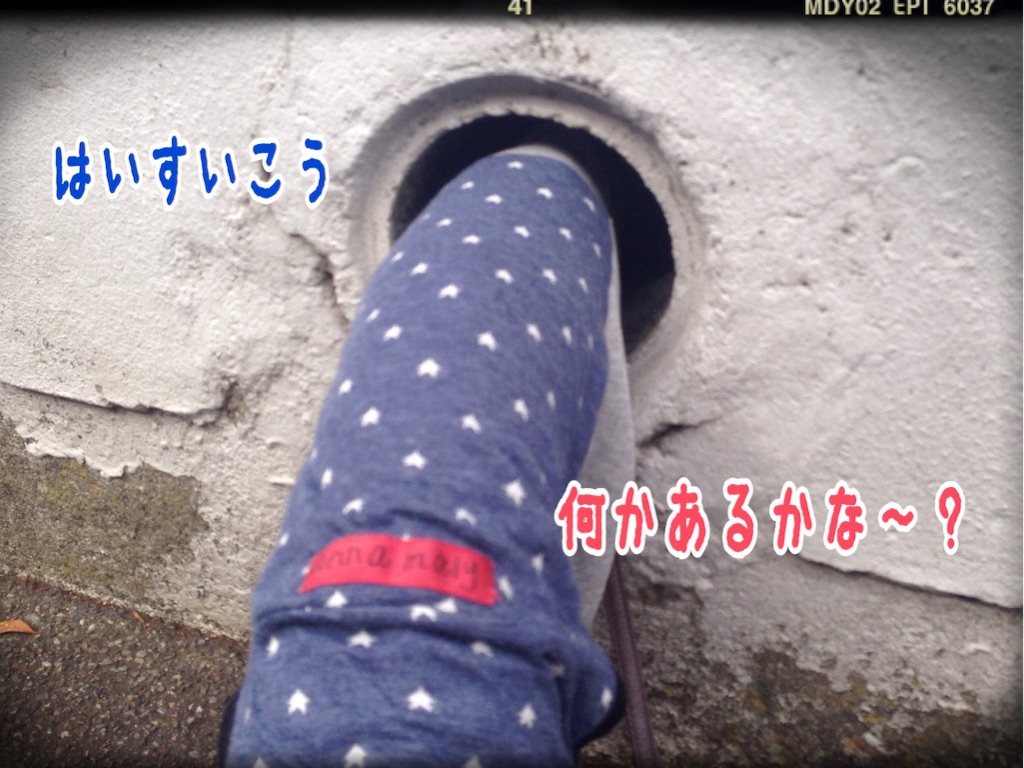 f:id:gino-ig:20151029200433j:image f:id:gino-ig:20151029200433j:image