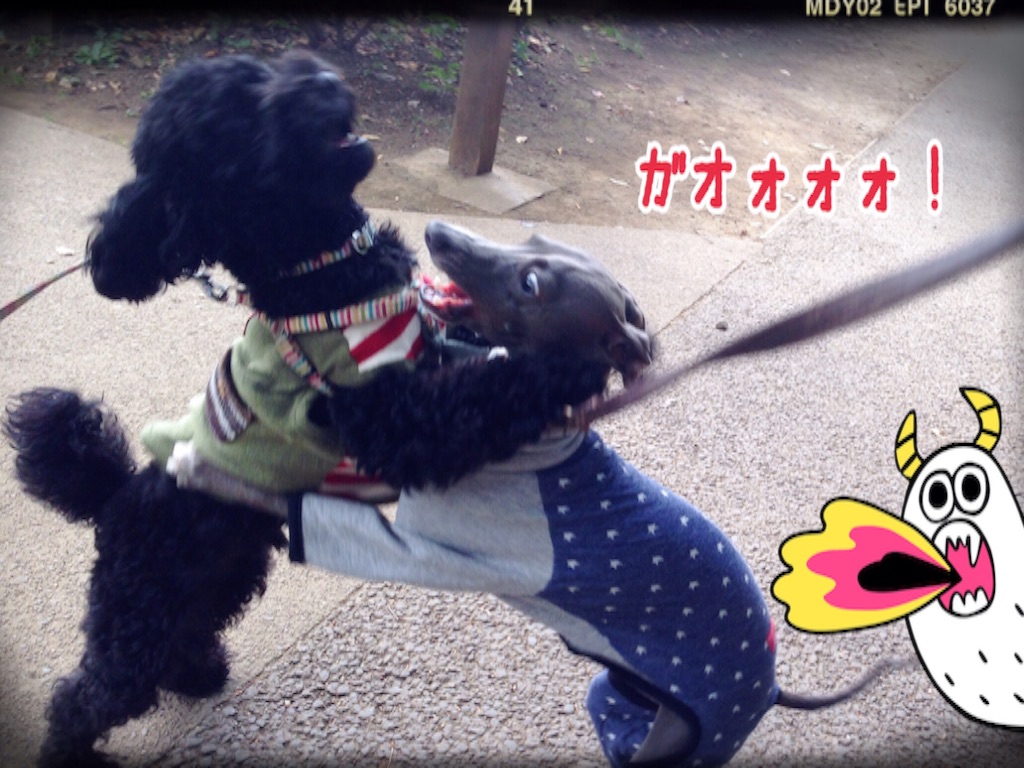 f:id:gino-ig:20151029202735j:image f:id:gino-ig:20151029202735j:image