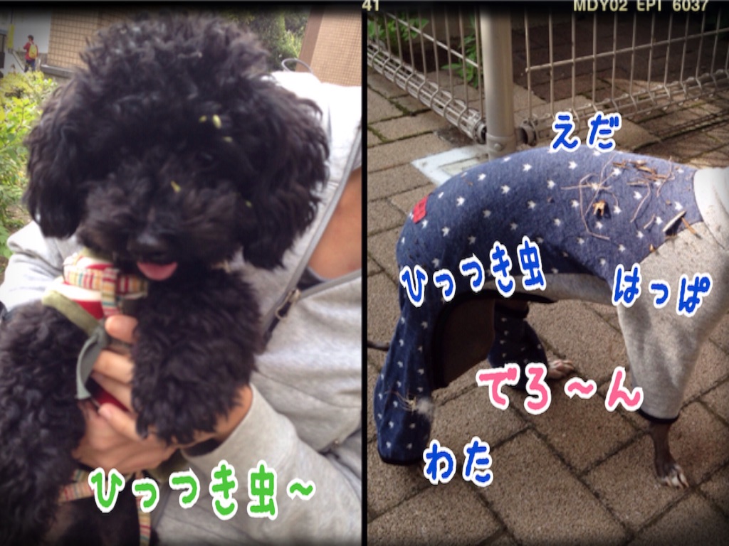f:id:gino-ig:20151029205008j:image f:id:gino-ig:20151029205008j:image