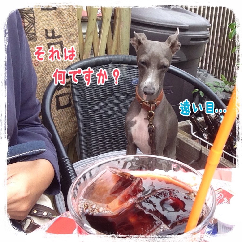 f:id:gino-ig:20151030171057j:image f:id:gino-ig:20151030171057j:image