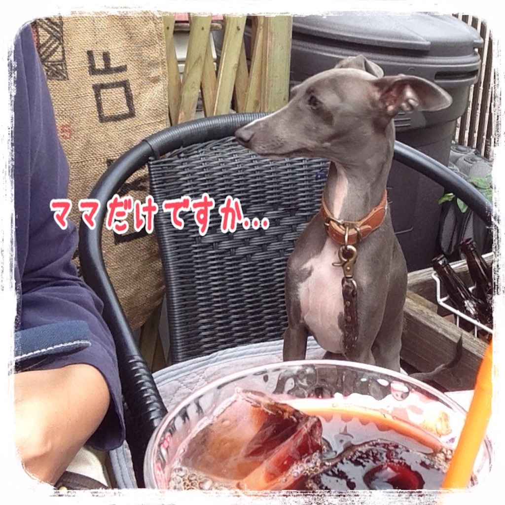 f:id:gino-ig:20151030171142j:image f:id:gino-ig:20151030171142j:image