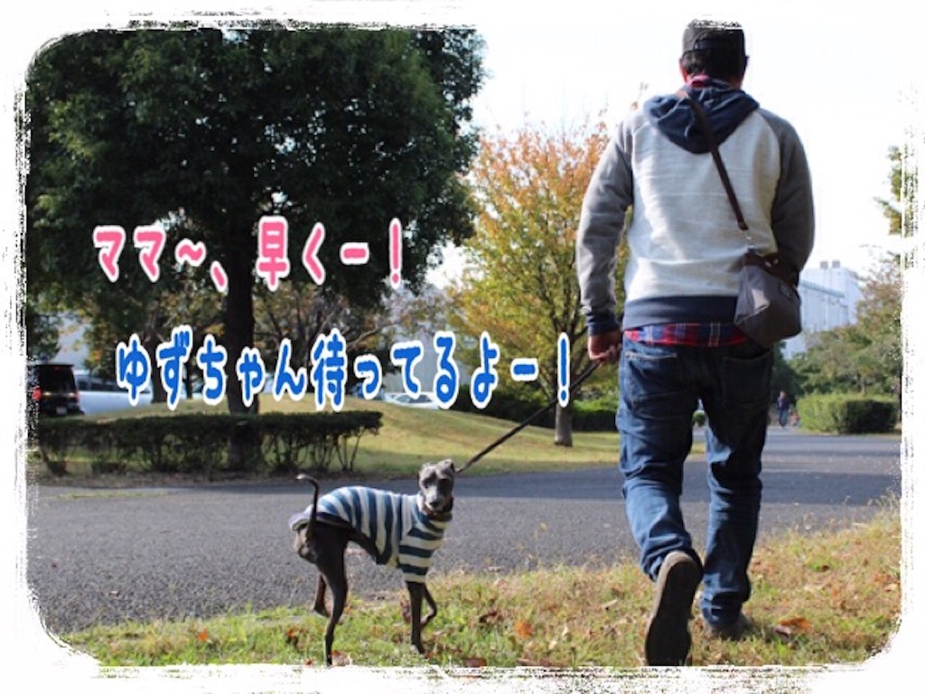 f:id:gino-ig:20151101214005j:image f:id:gino-ig:20151101214005j:image