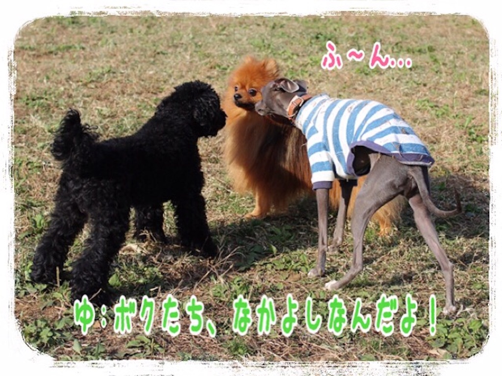 f:id:gino-ig:20151101214157j:image f:id:gino-ig:20151101214157j:image