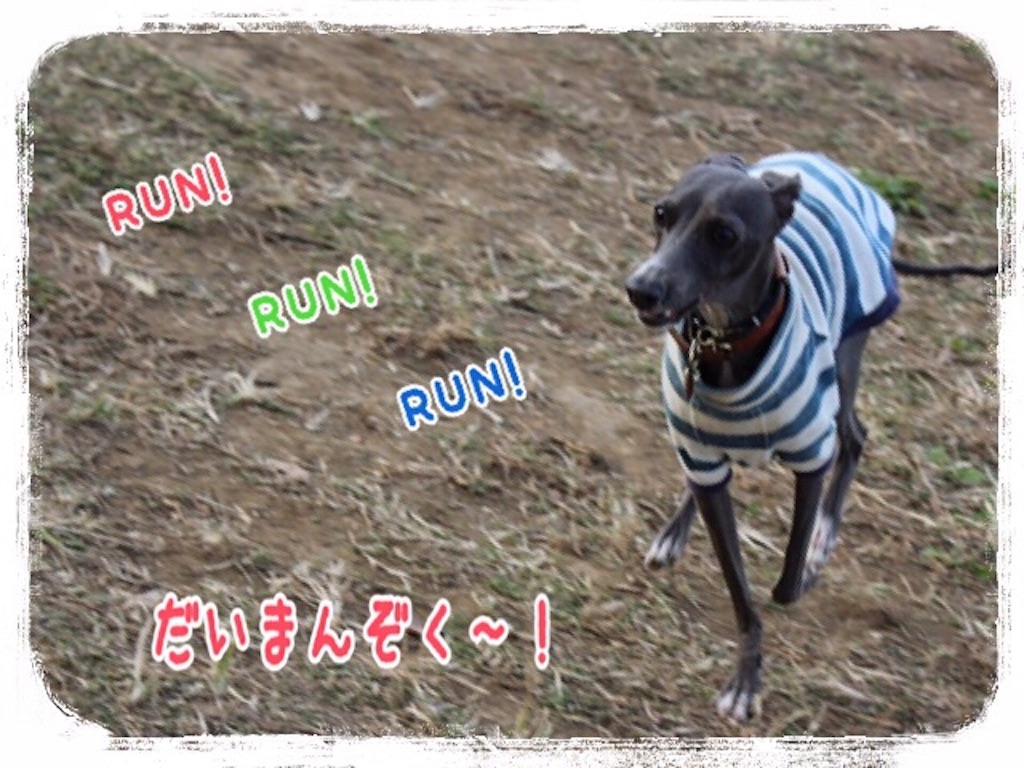 f:id:gino-ig:20151101214521j:image f:id:gino-ig:20151101214521j:image