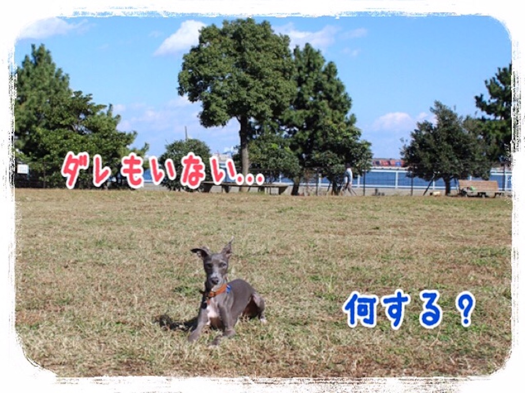 f:id:gino-ig:20151103214131j:image f:id:gino-ig:20151103214131j:image