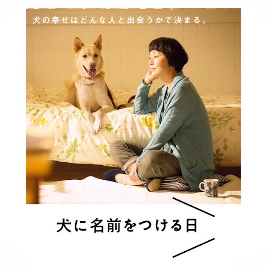 f:id:gino-ig:20151106184400j:image f:id:gino-ig:20151106184400j:image