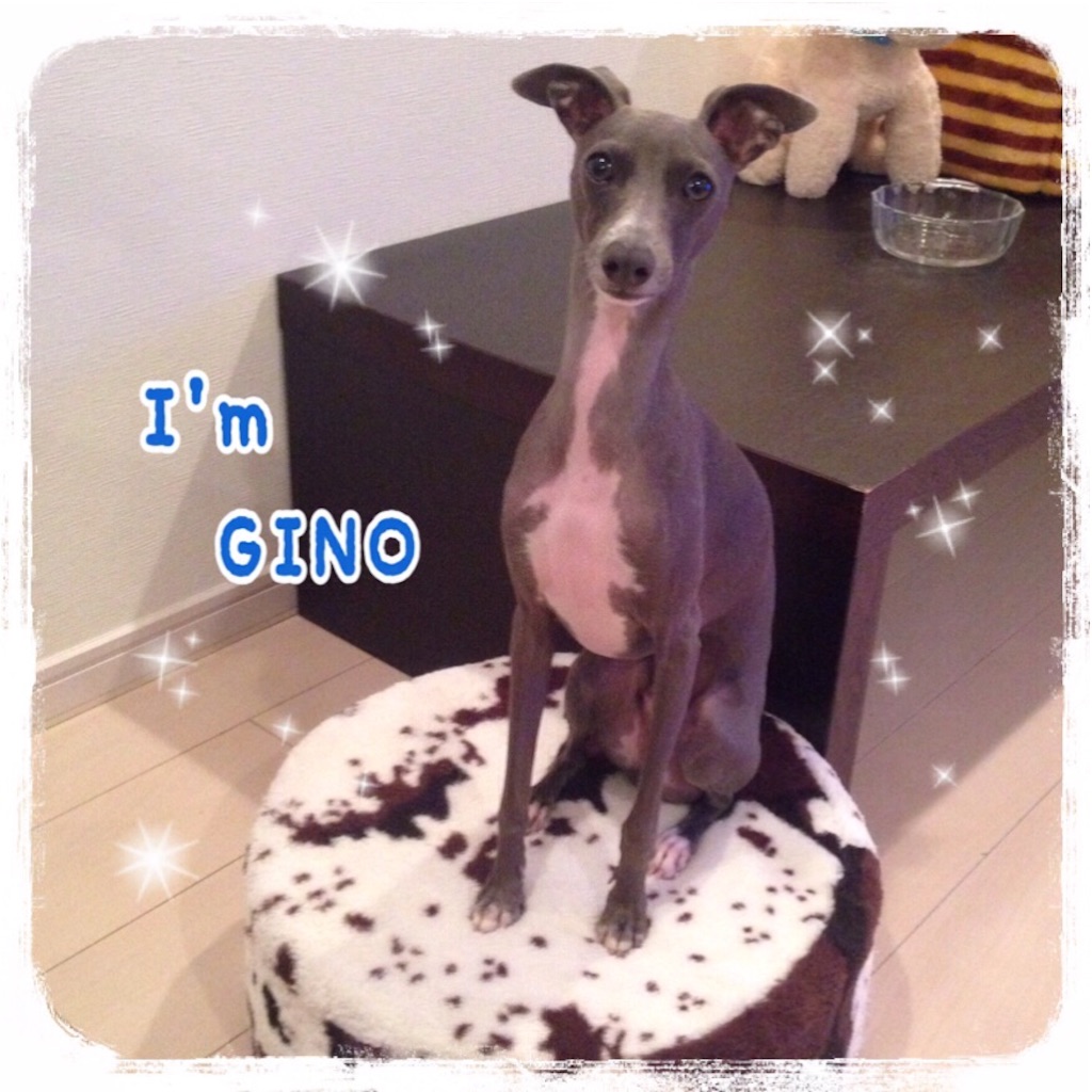 f:id:gino-ig:20151106233123j:image f:id:gino-ig:20151106233123j:image