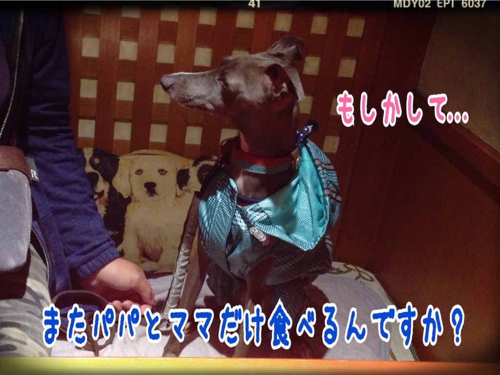 f:id:gino-ig:20151109191427j:image f:id:gino-ig:20151109191427j:image