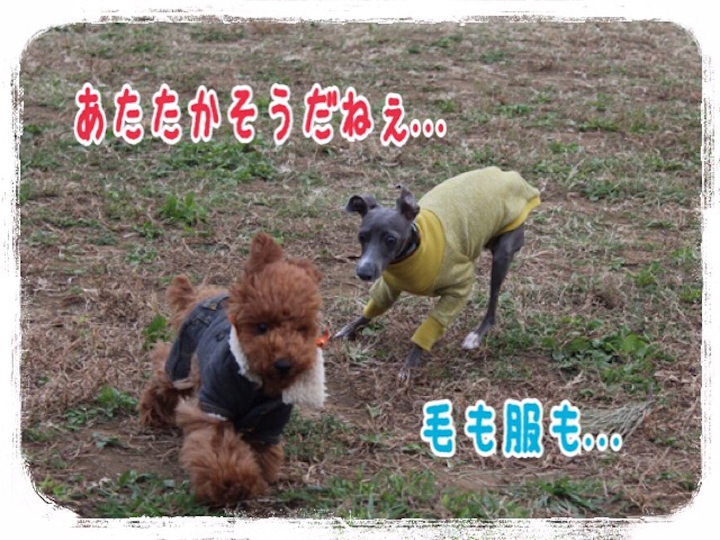 f:id:gino-ig:20151122205007j:image f:id:gino-ig:20151122205007j:image
