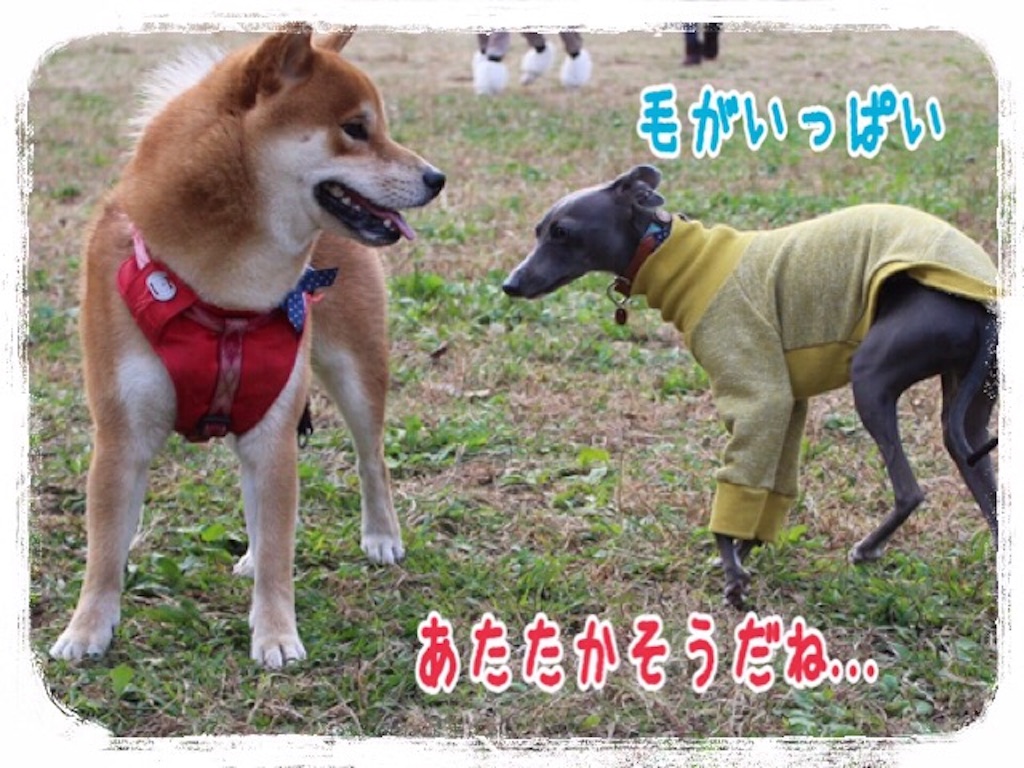 f:id:gino-ig:20151122205740j:image f:id:gino-ig:20151122205740j:image