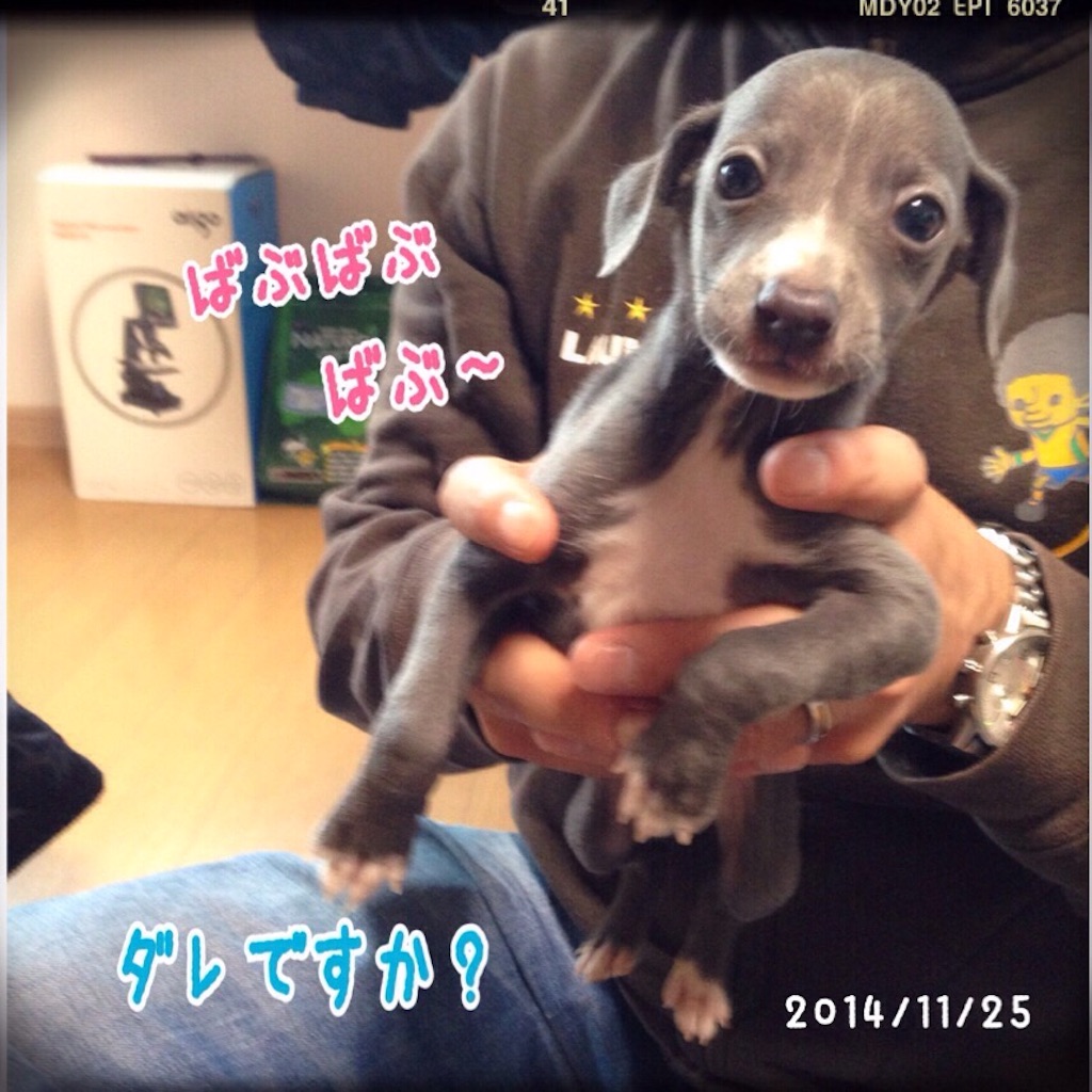 f:id:gino-ig:20151126013545j:image f:id:gino-ig:20151126013545j:image