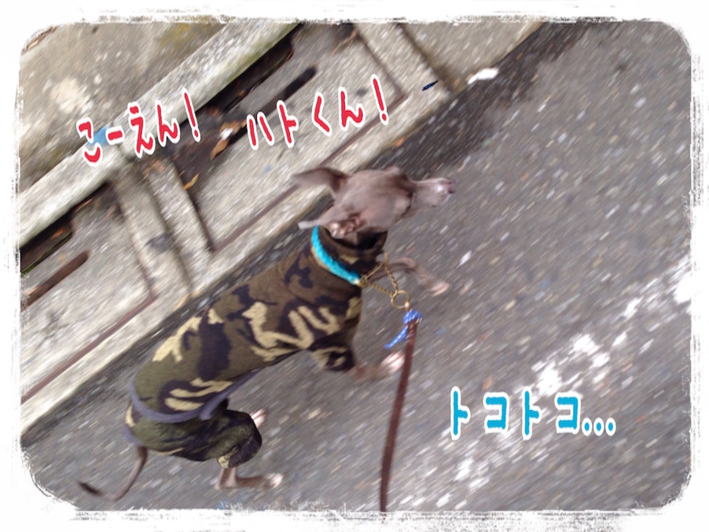 f:id:gino-ig:20151126225817j:image f:id:gino-ig:20151126225817j:image