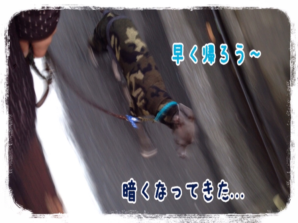 f:id:gino-ig:20151126225931j:image f:id:gino-ig:20151126225931j:image