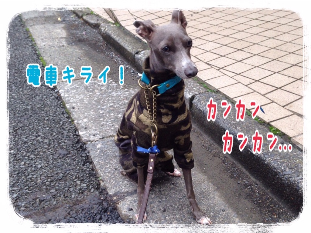 f:id:gino-ig:20151126230108j:image f:id:gino-ig:20151126230108j:image