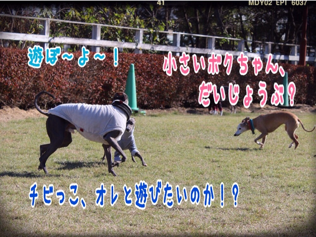 f:id:gino-ig:20151201154734j:image f:id:gino-ig:20151201154734j:image