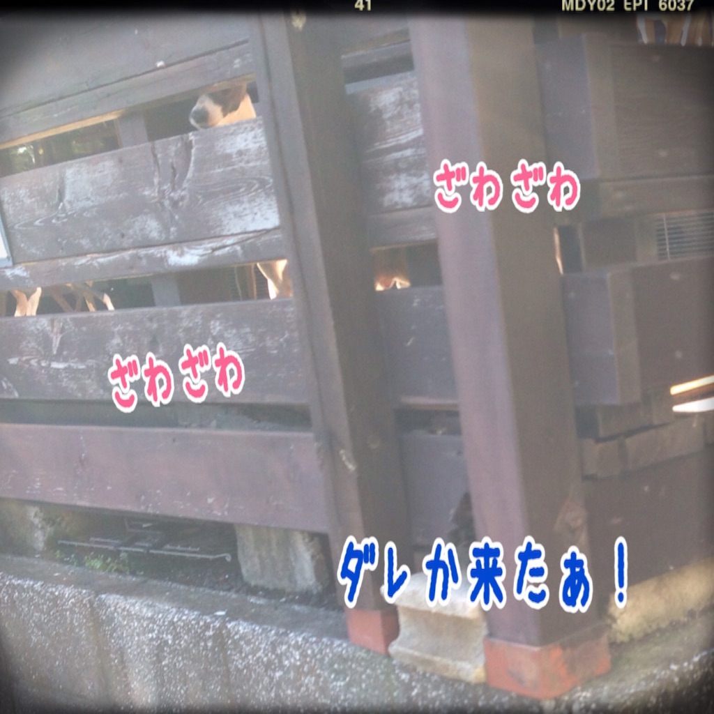f:id:gino-ig:20151204204548j:image f:id:gino-ig:20151204204548j:image
