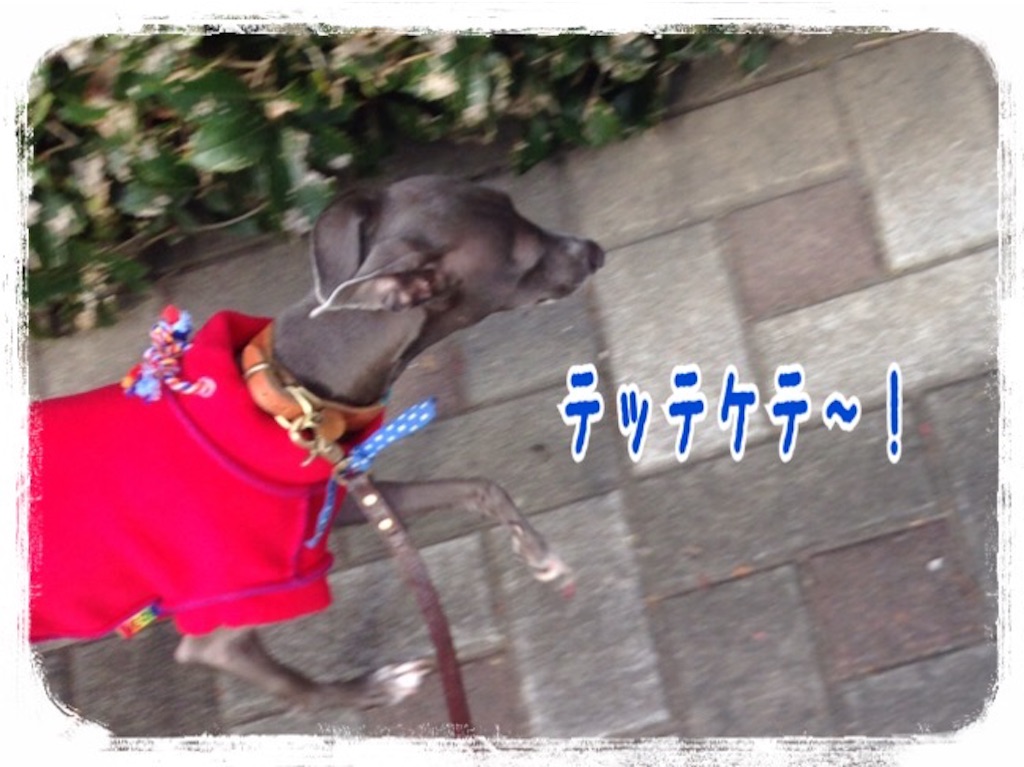 f:id:gino-ig:20151210195255j:image f:id:gino-ig:20151210195255j:image